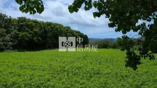 東華大學小坪數農地房屋室內格局與周邊環境