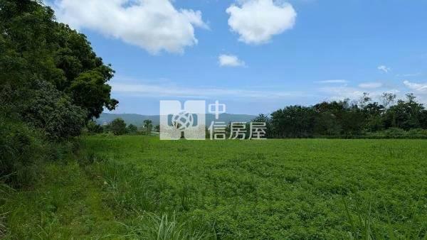 東華大學小坪數農地房屋室內格局與周邊環境