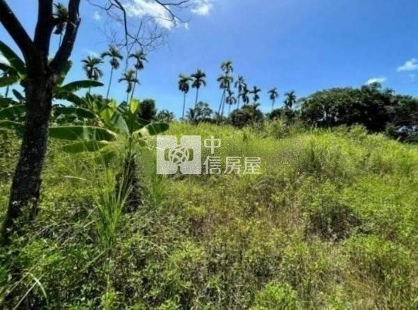 東華大學小坪數農地房屋室內格局與周邊環境