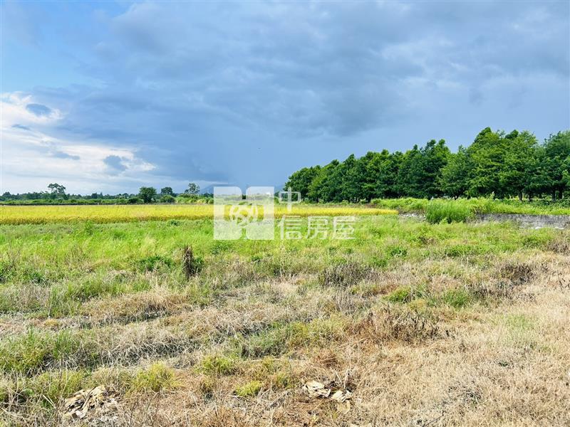 廣賢段方正農地稀有釋出房屋室內格局與周邊環境
