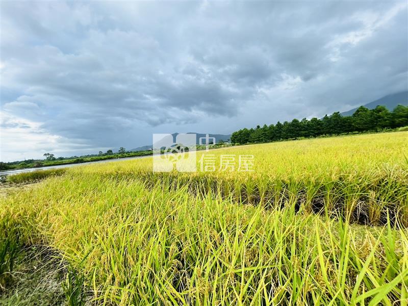 廣賢段方正農地稀有釋出房屋室內格局與周邊環境
