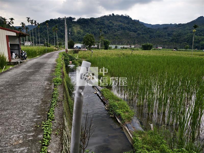 共和筊白筍田房屋室內格局與周邊環境