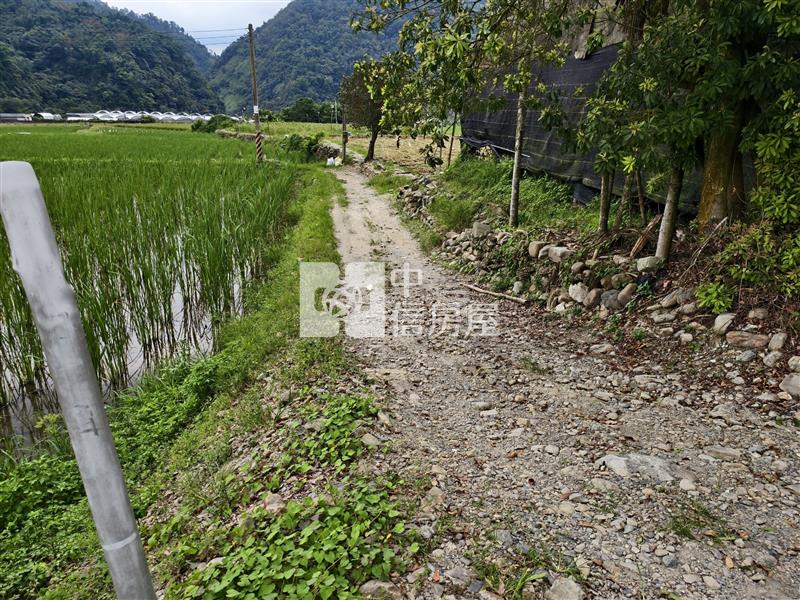 共和筊白筍田房屋室內格局與周邊環境
