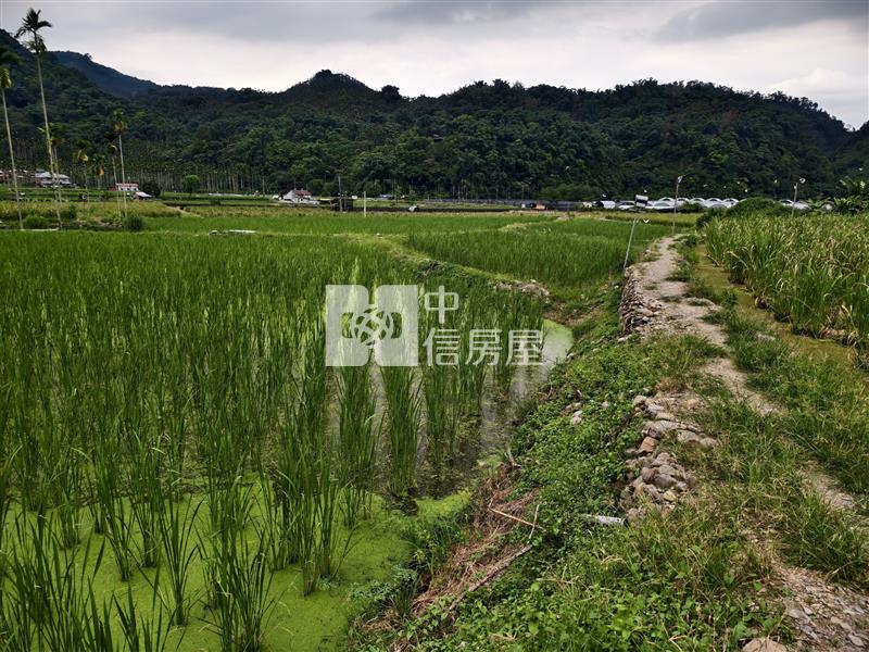 共和筊白筍田房屋室內格局與周邊環境