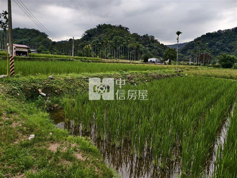 共和筊白筍田房屋室內格局與周邊環境
