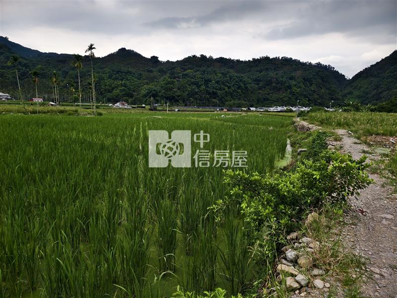 共和筊白筍田房屋室內格局與周邊環境