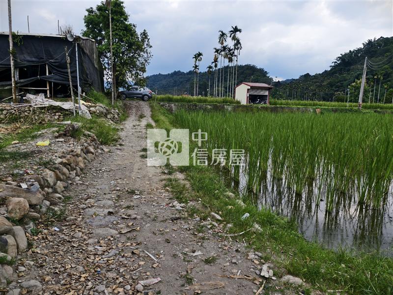共和筊白筍田房屋室內格局與周邊環境