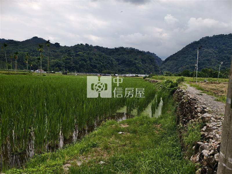 共和筊白筍田房屋室內格局與周邊環境