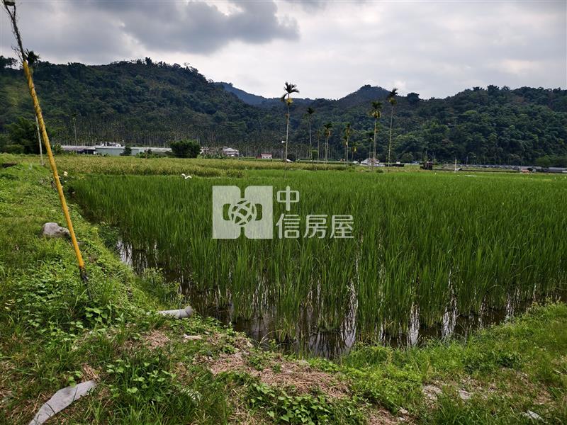 共和筊白筍田房屋室內格局與周邊環境