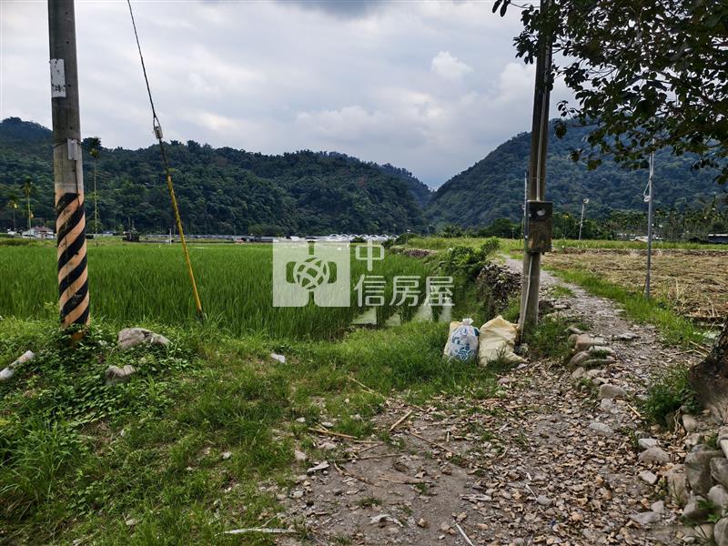 共和筊白筍田房屋室內格局與周邊環境