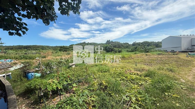 D07.蘆竹區農牧用地【捷運新北園區站加盟店】房屋室內格局與周邊環境