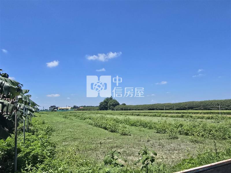 雲林超長美田(一)房屋室內格局與周邊環境