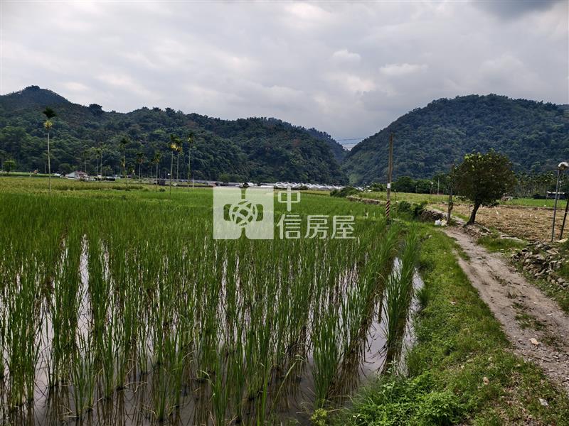 共和水筍田(Ⅰ)房屋室內格局與周邊環境
