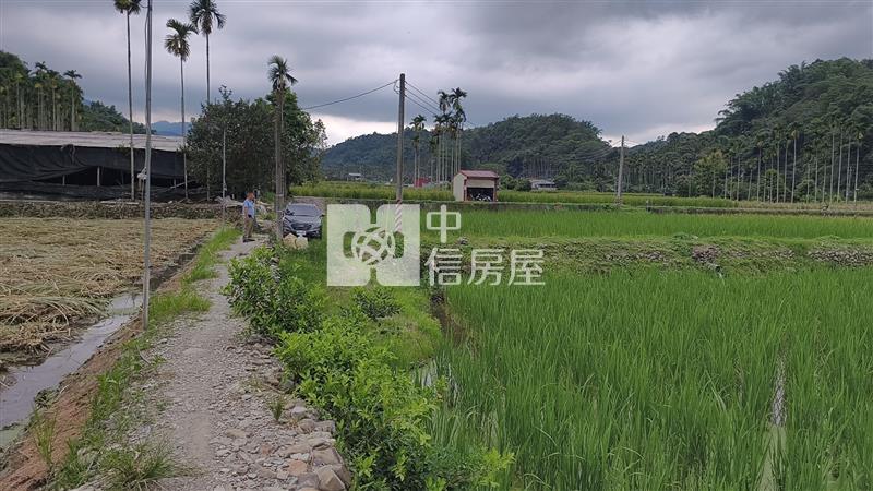 共和水筍田(Ⅰ)房屋室內格局與周邊環境