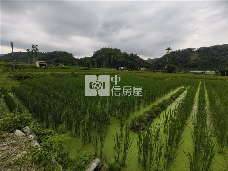共和水筍田(Ⅰ)房屋室內格局與周邊環境