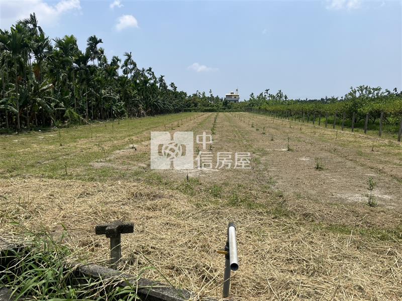 竹田臨路有水、電農地房屋室內格局與周邊環境