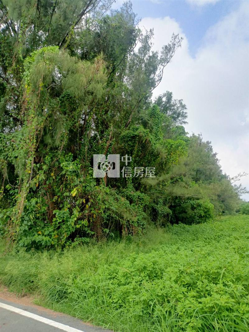 麥寮新中段都內農地房屋室內格局與周邊環境