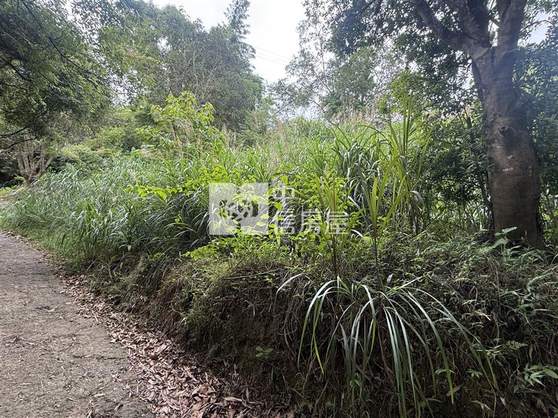 苗栗大湖便宜農加建房屋室內格局與周邊環境