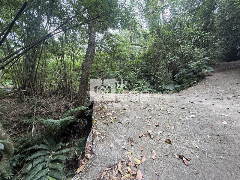 苗栗大湖便宜農加建房屋室內格局與周邊環境