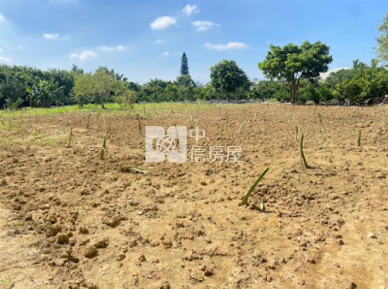 平鎮中豐路巷內66快速道路旁一般農房屋室內格局與周邊環境