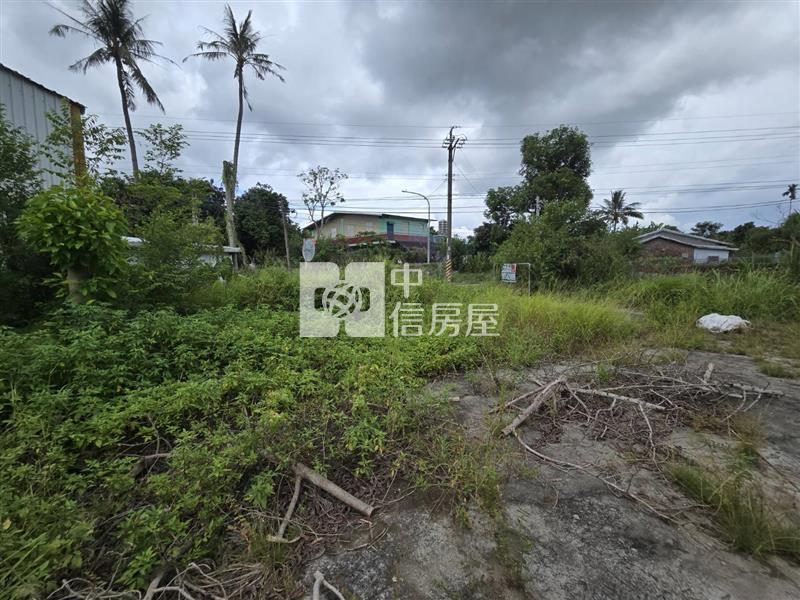 池上鄉萬朝段百坪建地送稅籍屋房屋室內格局與周邊環境