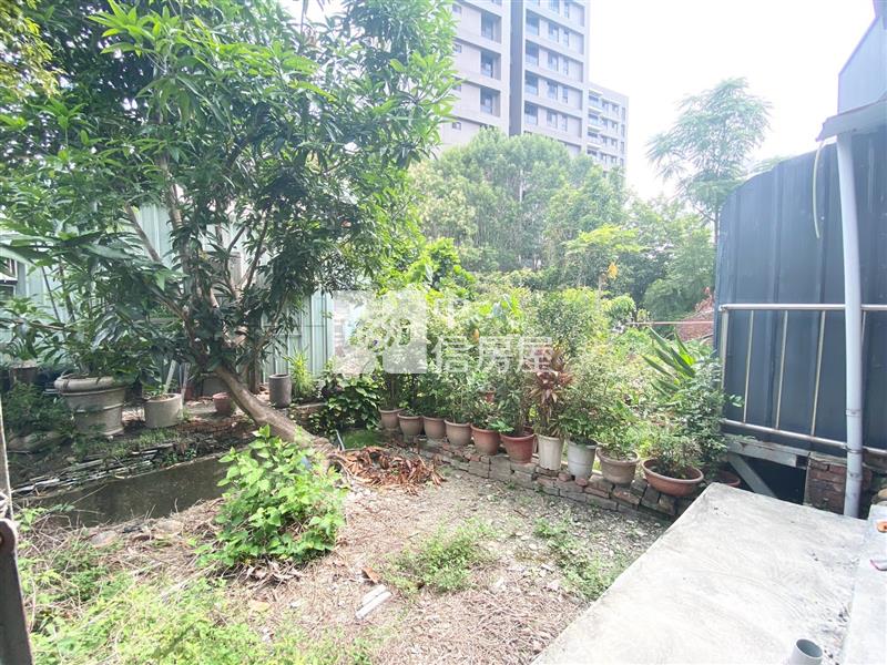 東山商圈低總價透天房屋室內格局與周邊環境