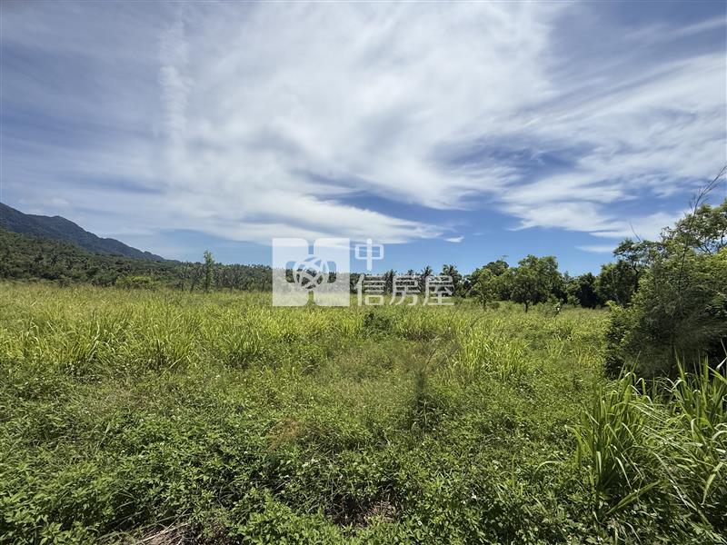 D13 台東縣東河鄉農地【新莊中央加盟店】房屋室內格局與周邊環境
