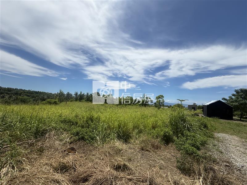 D13 台東縣東河鄉農地【新莊中央加盟店】房屋室內格局與周邊環境