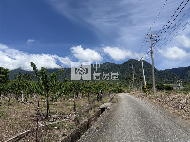 D13 台東縣東河鄉農地【新莊中央加盟店】房屋室內格局與周邊環境