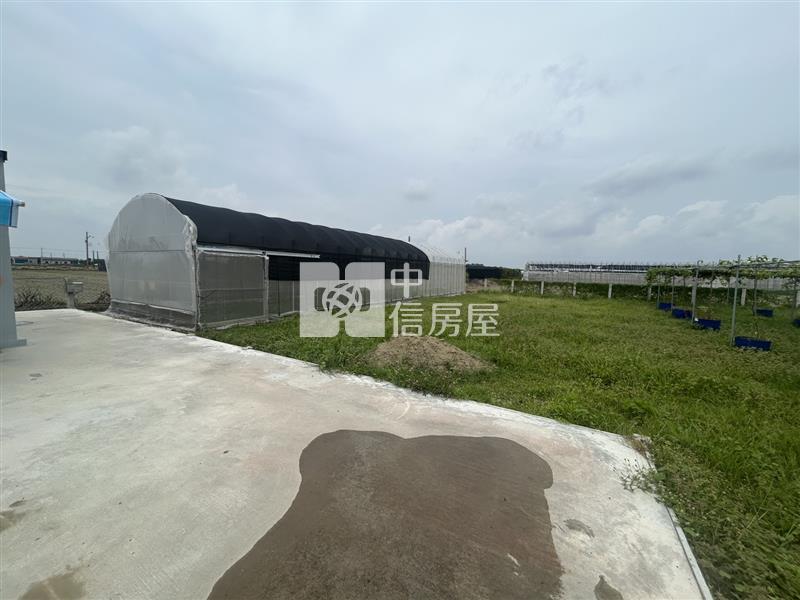 將軍漚汪百香果園加大資材室平房房屋室內格局與周邊環境