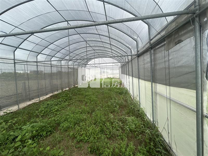 將軍漚汪百香果園加大資材室平房房屋室內格局與周邊環境