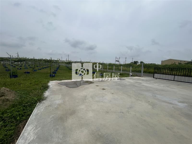 將軍漚汪百香果園加大資材室平房房屋室內格局與周邊環境