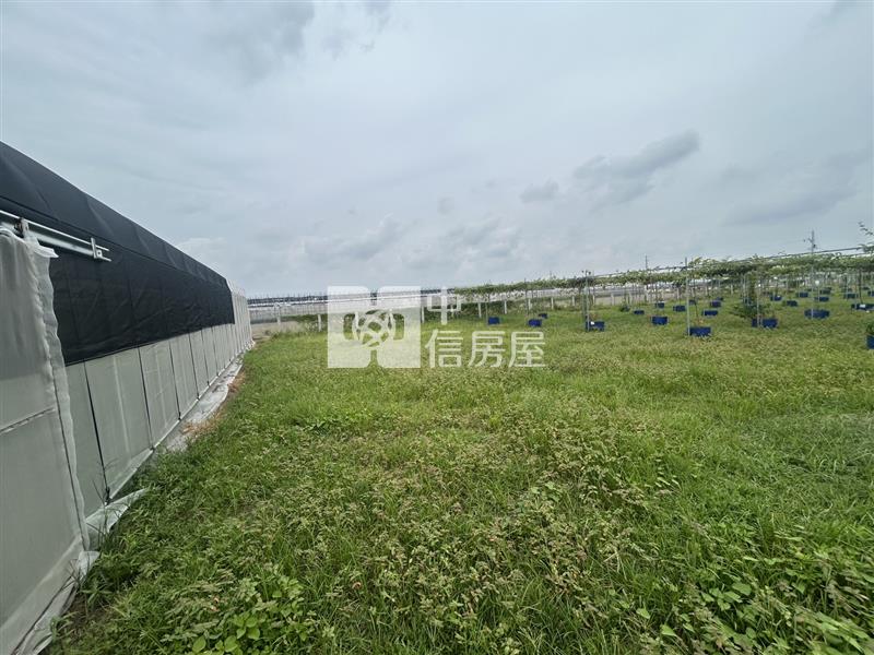 將軍漚汪百香果園加大資材室平房房屋室內格局與周邊環境