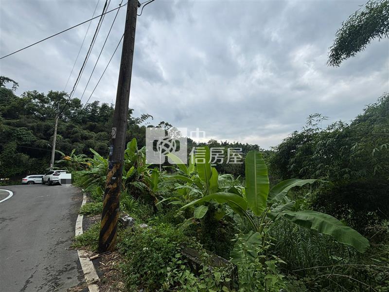中寮臨路角地休閒農場A房屋室內格局與周邊環境