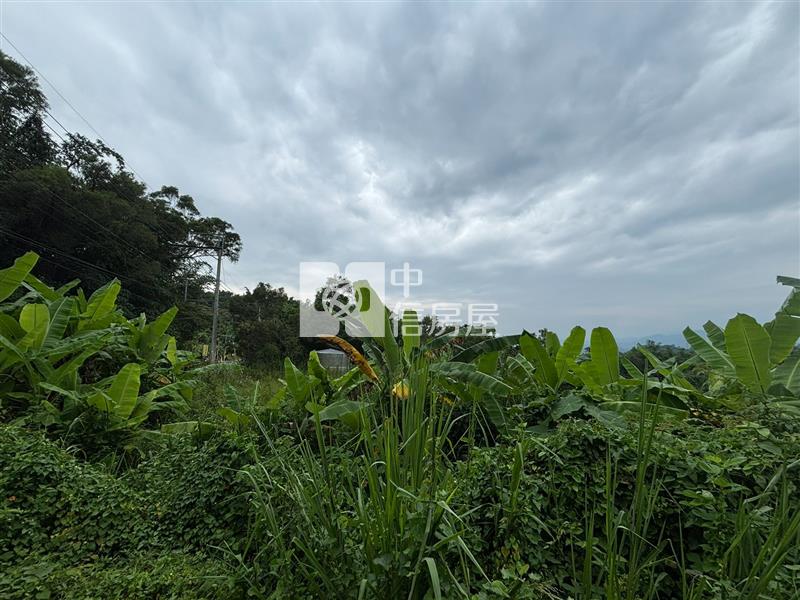 中寮臨路角地休閒農場A房屋室內格局與周邊環境