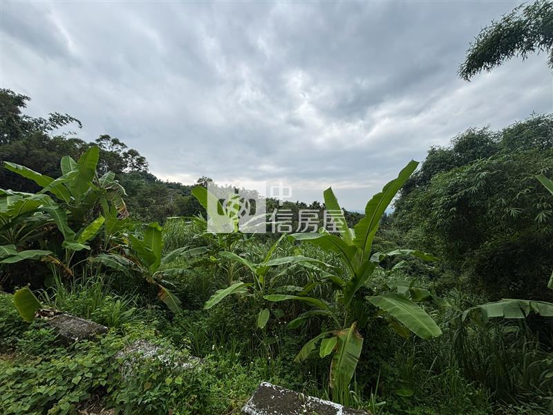 中寮臨路角地休閒農場A房屋室內格局與周邊環境