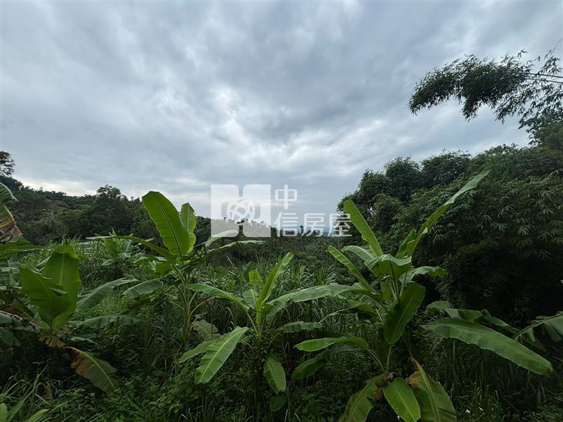 中寮臨路角地休閒農場A房屋室內格局與周邊環境