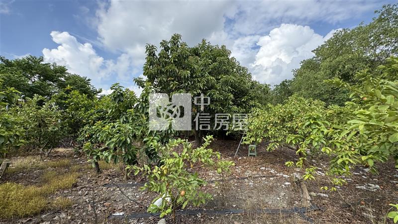 高樹菜寮果園房屋室內格局與周邊環境
