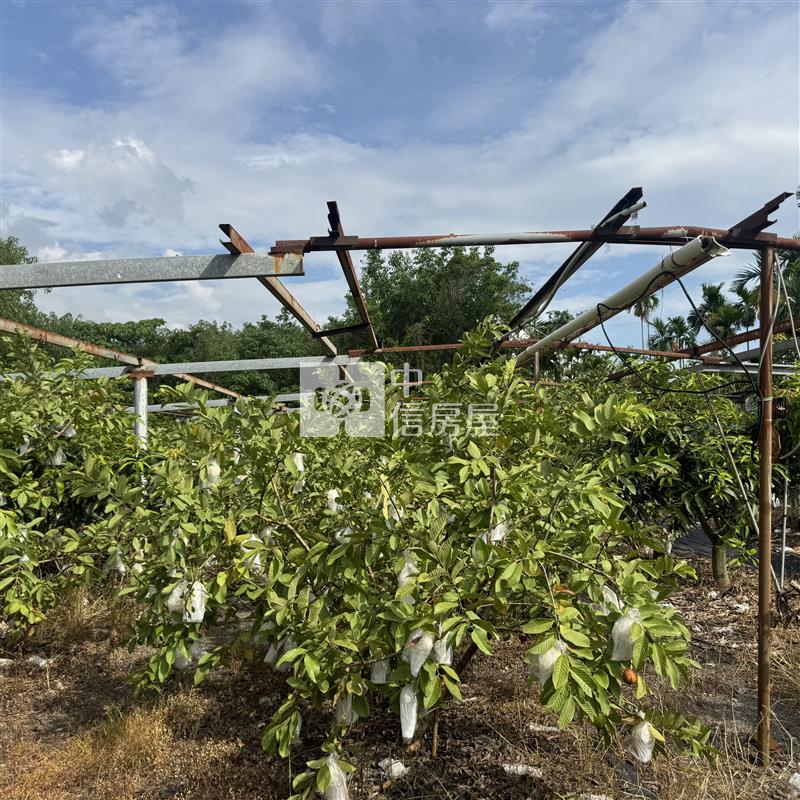 高樹菜寮果園房屋室內格局與周邊環境