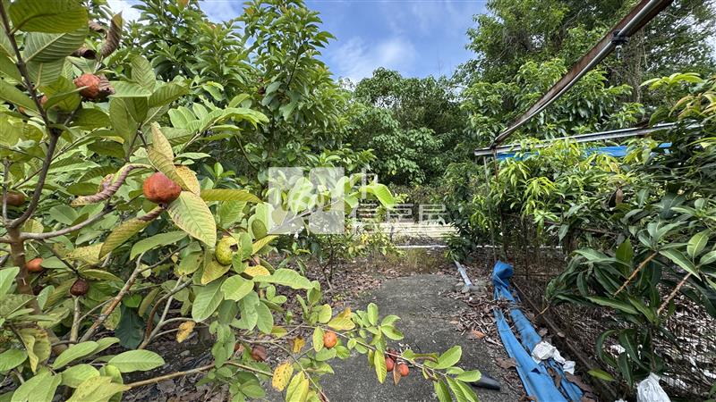 高樹菜寮果園房屋室內格局與周邊環境