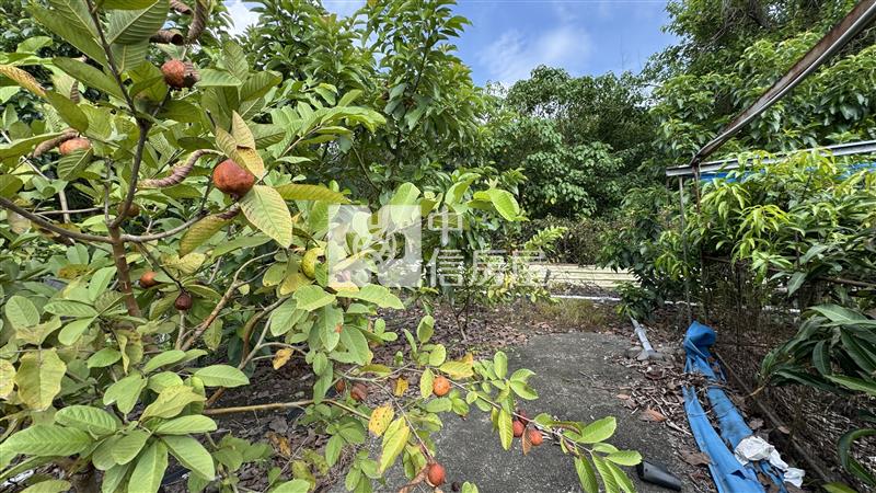 高樹菜寮果園房屋室內格局與周邊環境