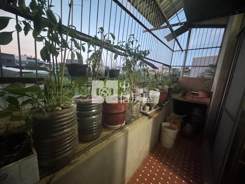 龍潭陸總部1-3樓透天房屋室內格局與周邊環境