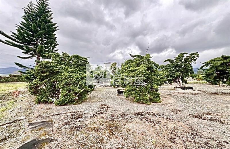 花蓮吉安草芬│地勢平垣足坪美農地房屋室內格局與周邊環境