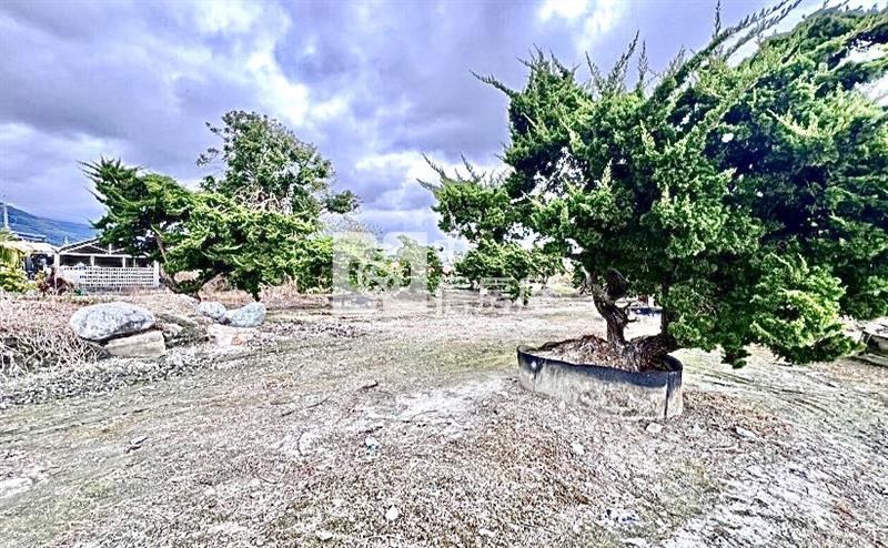 花蓮吉安草芬│地勢平垣足坪美農地房屋室內格局與周邊環境