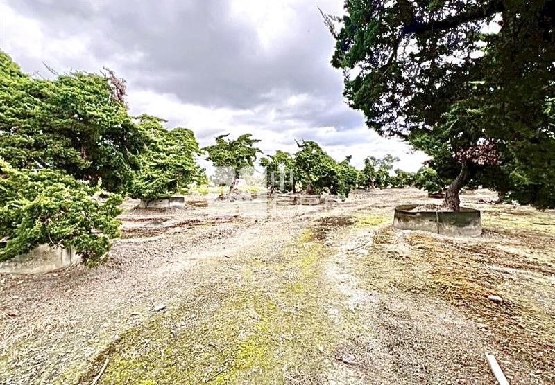 花蓮吉安草芬│地勢平垣足坪美農地房屋室內格局與周邊環境