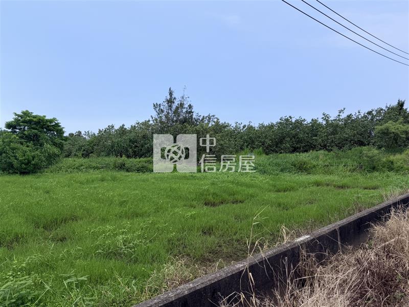 【安家】苗栗縣後龍鎮外埔段投資美農地650萬房屋室內格局與周邊環境