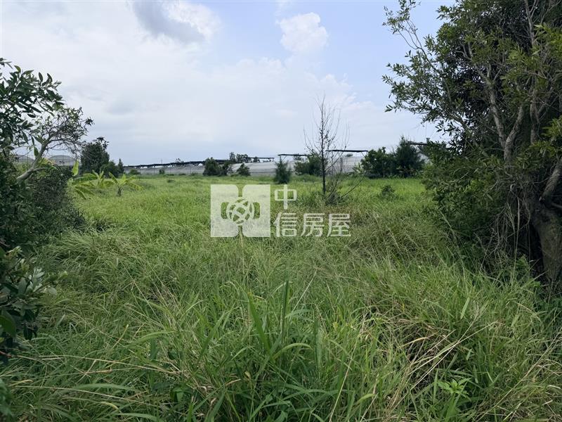 【安家】苗栗縣後龍鎮外埔段投資美農地650萬房屋室內格局與周邊環境