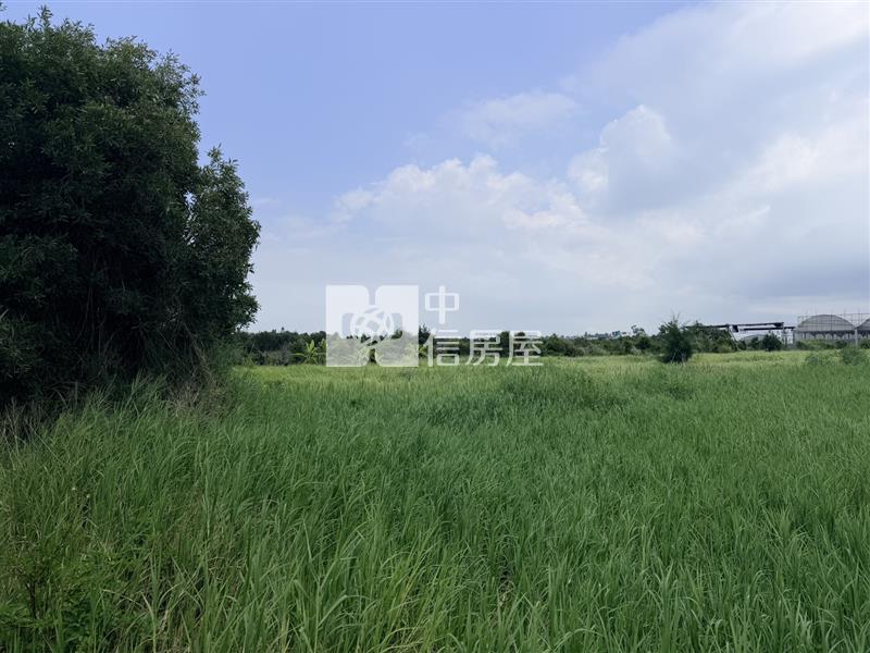 【安家】苗栗縣後龍鎮外埔段投資美農地650萬房屋室內格局與周邊環境