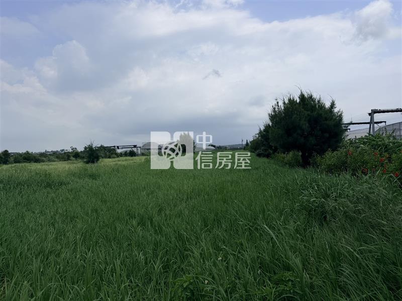 【安家】苗栗縣後龍鎮外埔段投資美農地650萬房屋室內格局與周邊環境