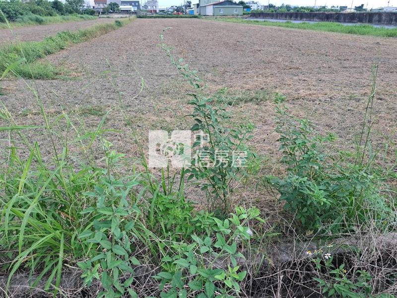 西港成功國小優質農地(二)房屋室內格局與周邊環境